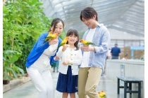 ◎WEB予約でリボンポイント3ポイント◎【浄水・梅坪・豊田発】*日帰り昼食付*『静岡de ‶一富士二鷹三茄子” 初夢ツアー♪』3